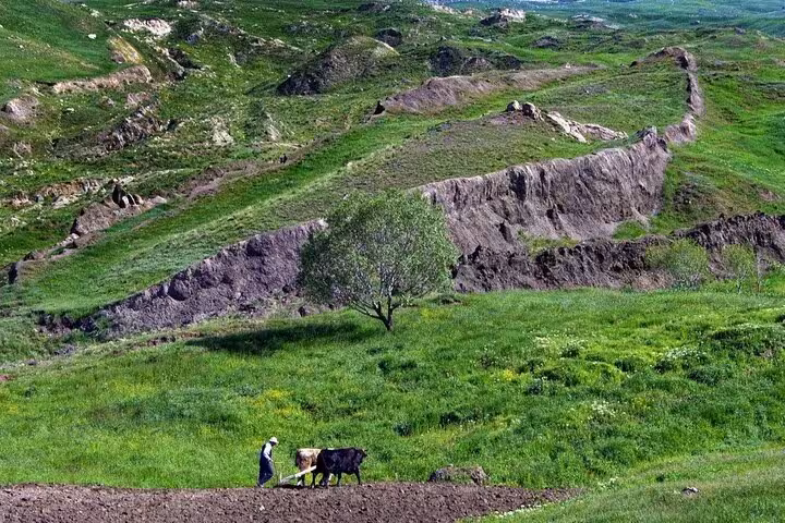 Rural Dogubeyazit countryside with farmer plowing green hills, scenic stop on private 3-day guided tour