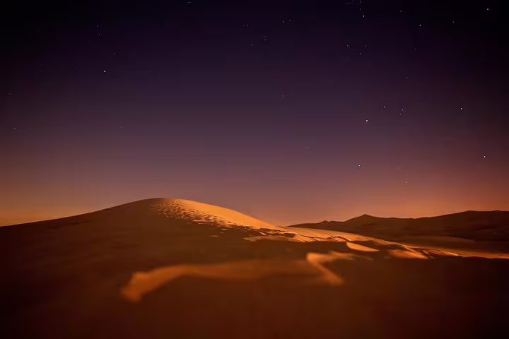 Camel resting under the night sky in Doha desert, ideal for a serene night desert safari experience.