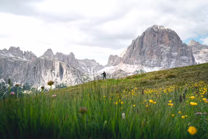 Hiker exploring the lush green meadows of the Dolomites with majestic mountains in the background on a Venice day tour.