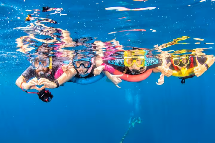 Snorkelers floating in clear Red Sea at Dolphin House Samadai Reef, Marsa Alam family snorkeling adventure