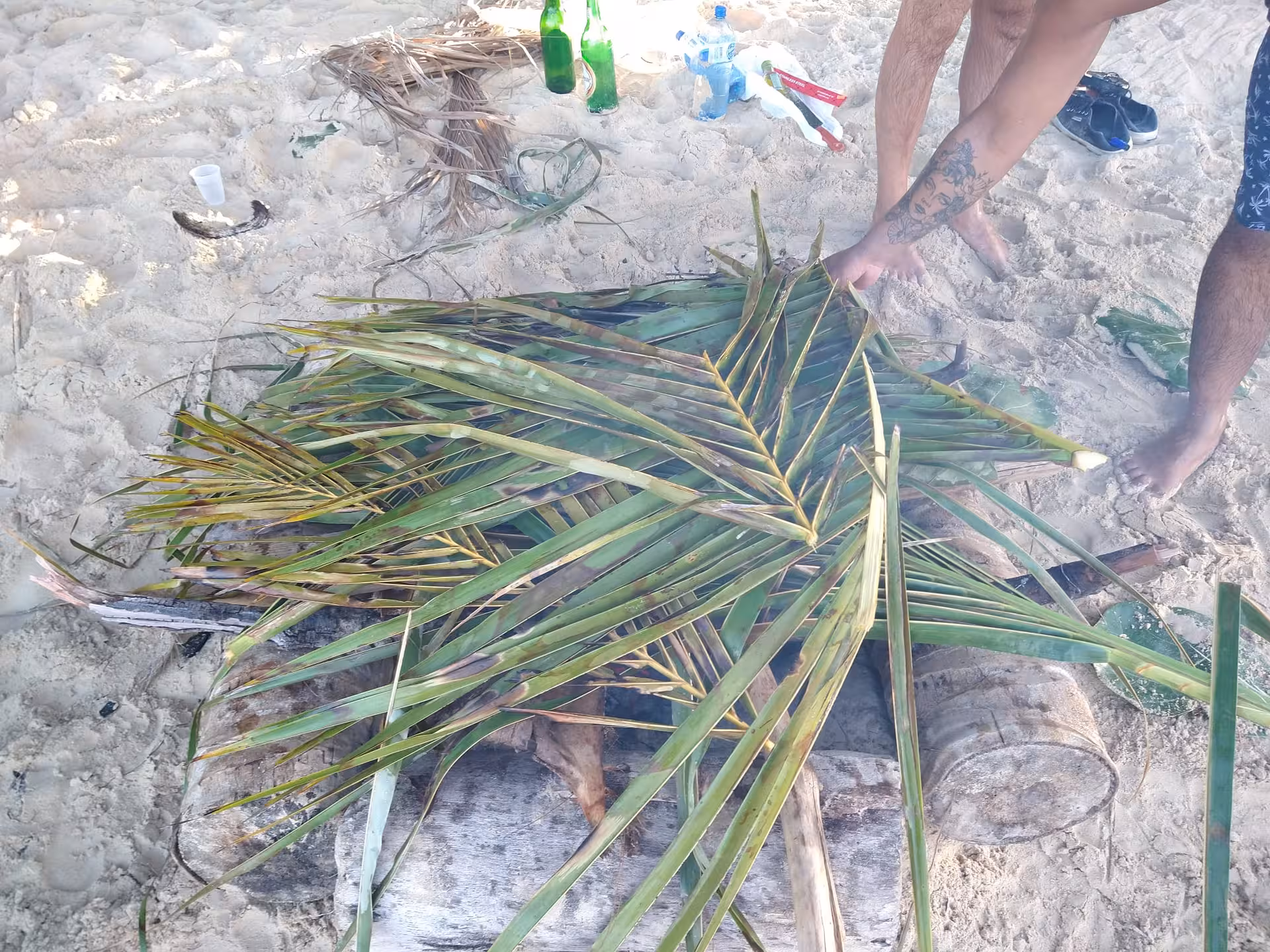 Beach bonfire setup with palm fronds on Dominican Republic sand, authentic Caribbean getaway local experience