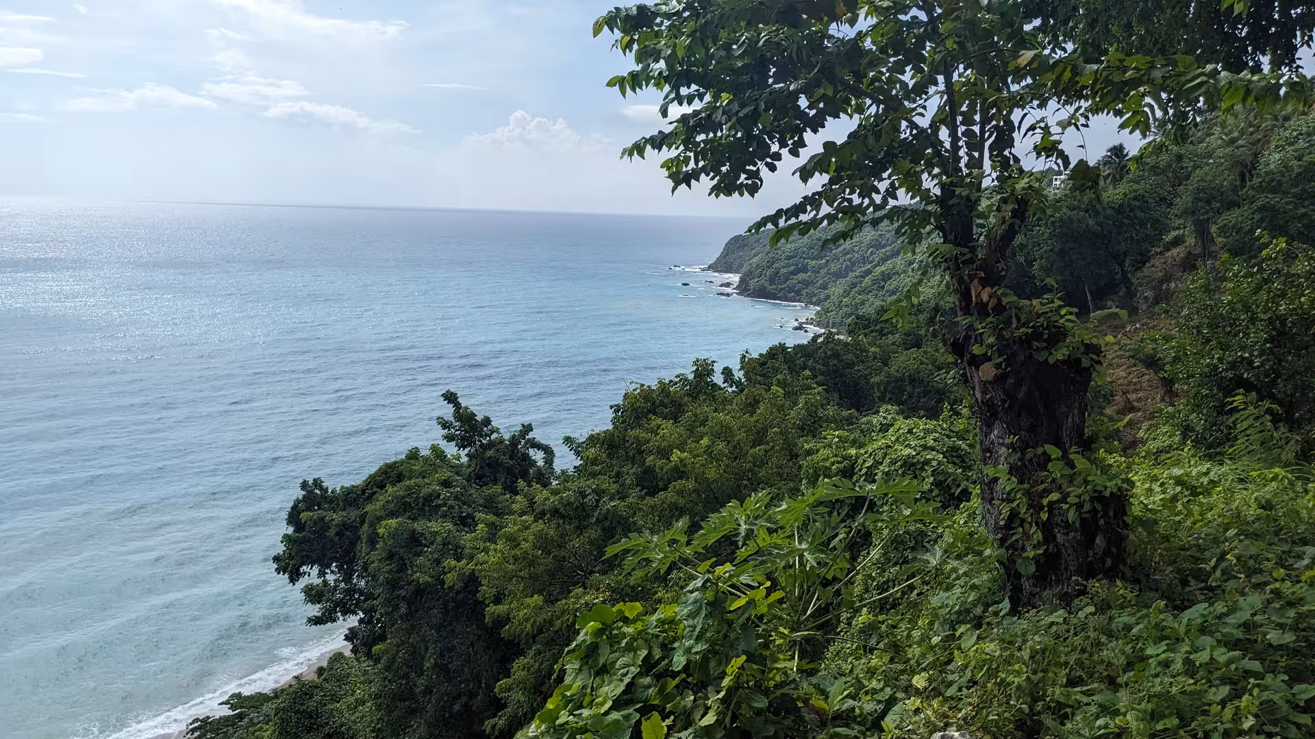 Lush Dominican Republic coastal overlook with rainforest cliffs and Caribbean Sea, scenic eco tour viewpoint