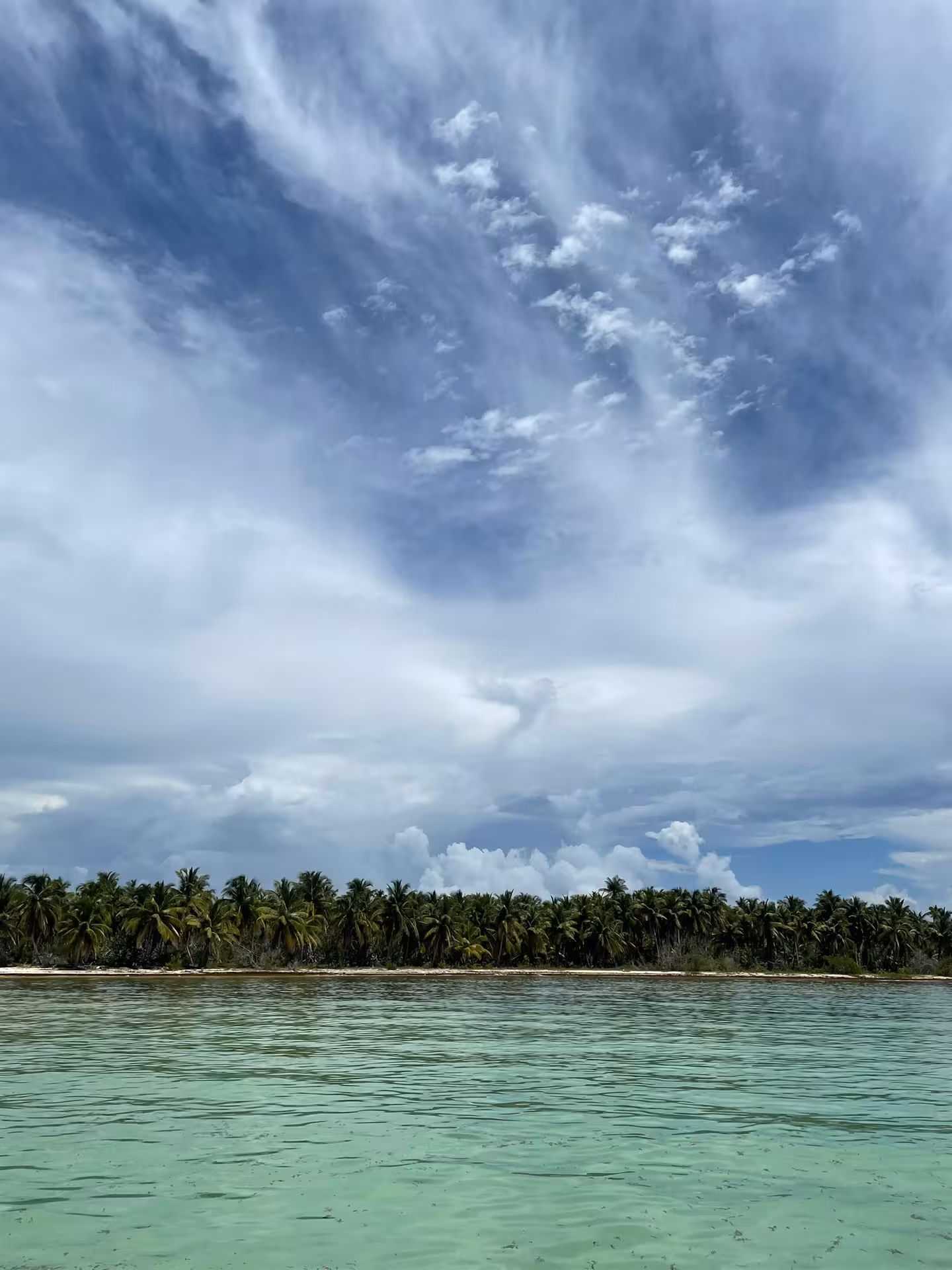 Turquoise Caribbean lagoon and palm-lined shore in the Dominican Republic, ideal for island-hopping tours