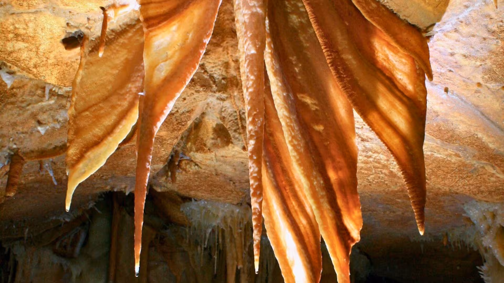 Spectacular stalactite formations in Dorgali caves, showcasing the unique geology of this Sardinian adventure.
