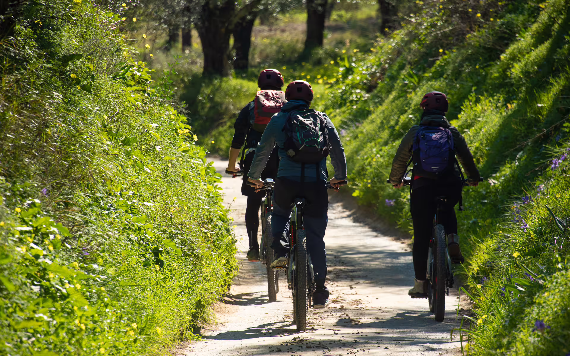 Group cycling e-bikes on a shaded trail through Kalamata olive groves, a guided Messinia nature tour