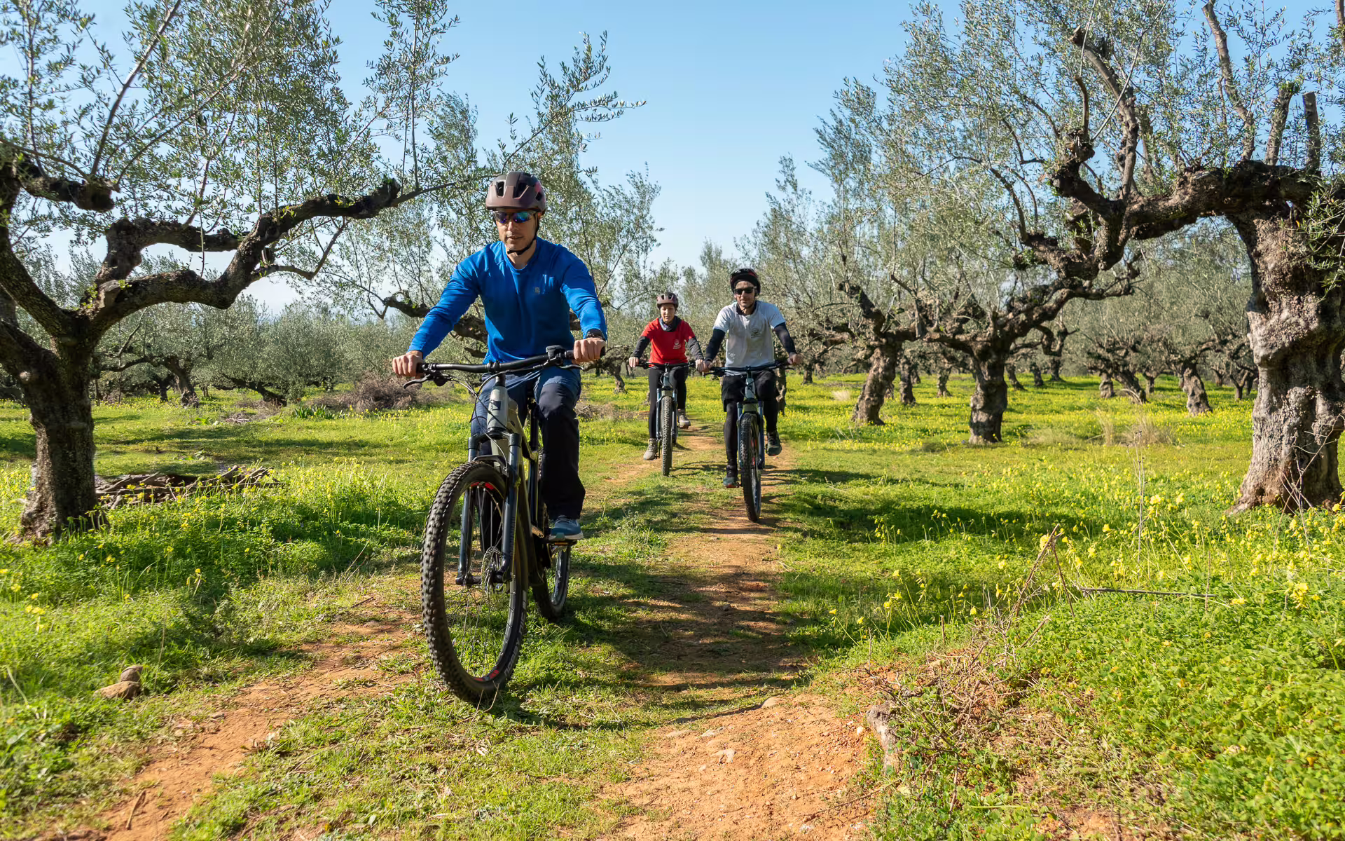 Guided e-bike tour riding through Kalamata olive groves on a dirt trail, Messinia Peloponnese Greece