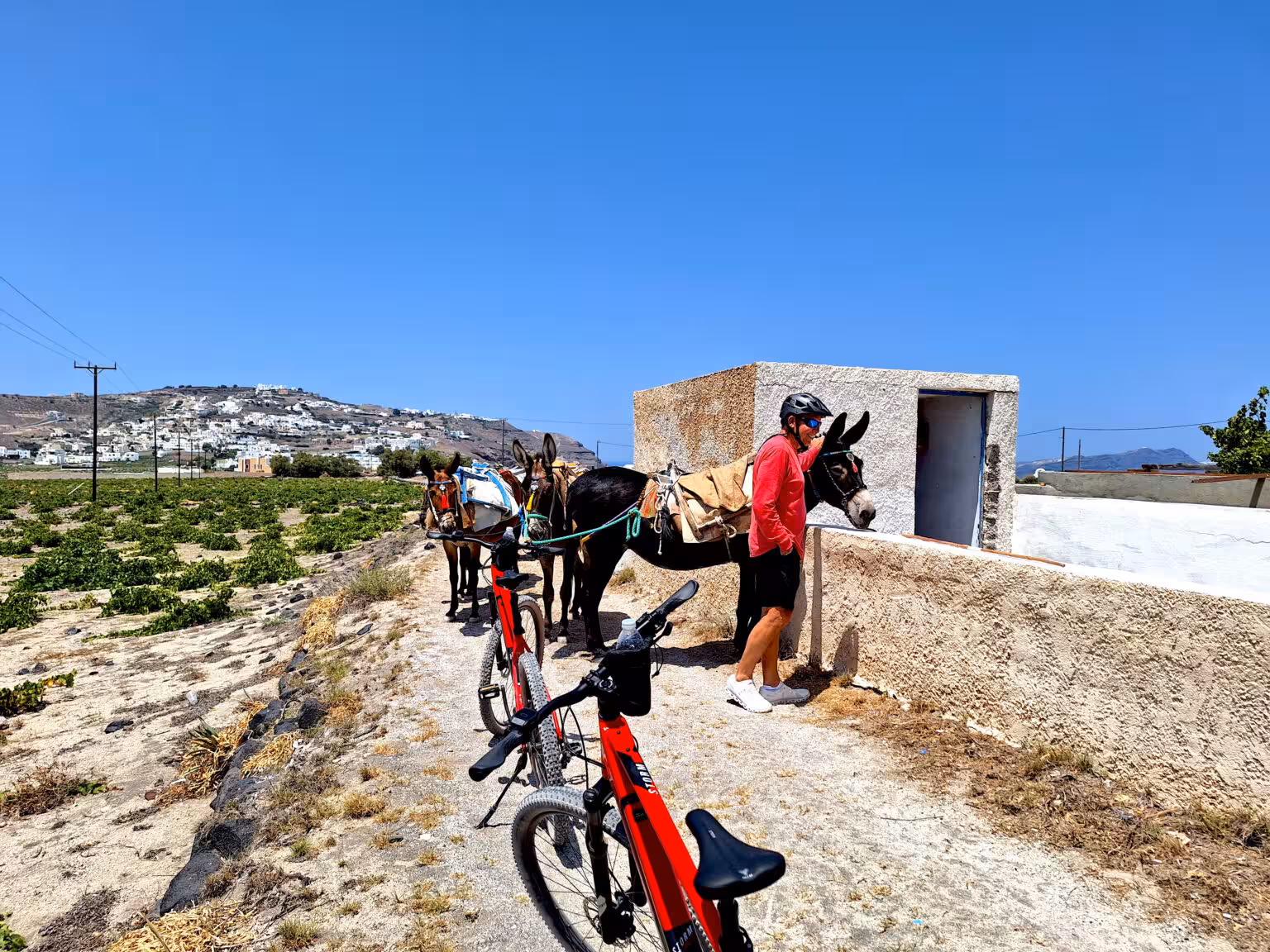 E-bike Santorini tour stop on a rural path with traditional donkeys and vineyard views under blue sky