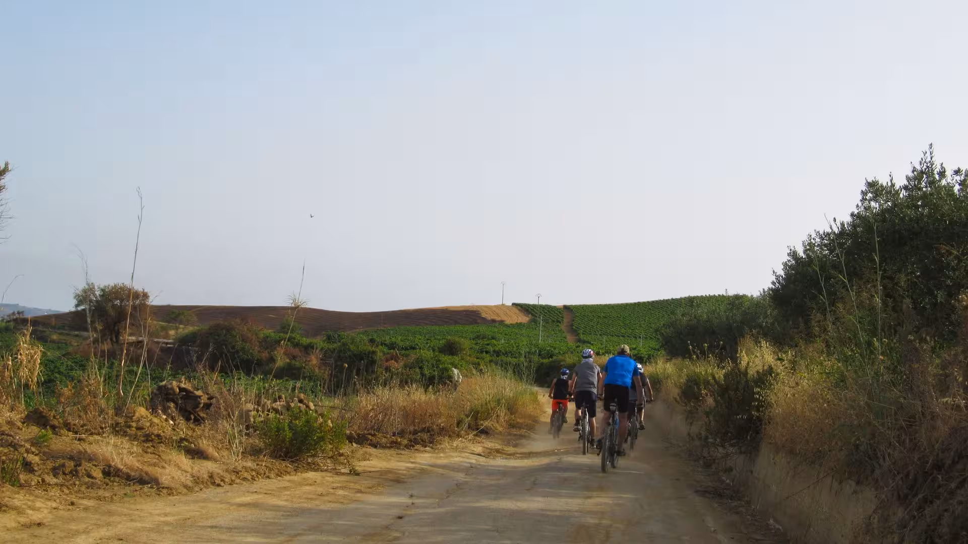 Group of cyclists riding ebikes on a dirt path amidst lush fields on the way to the Segesta temple.