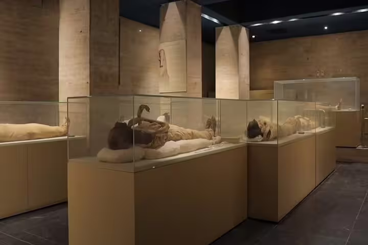 Mummies displayed in glass cases at the National Museum of Egyptian Civilization on a private Cairo tour