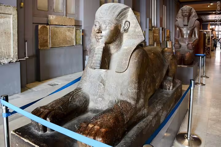 Egyptian Museum Cairo sphinx statue exhibit on private minivan day tour from Giza Pyramids