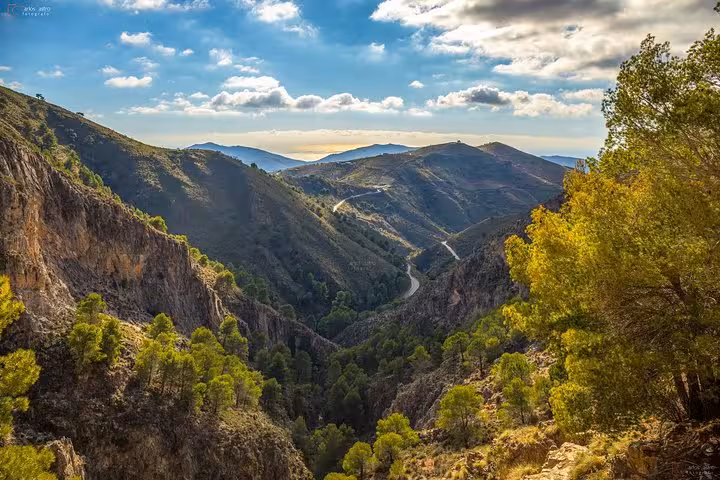 Scenic view of El Saltillo Gorge with lush greenery and winding trails, perfect for hiking tours from Malaga.