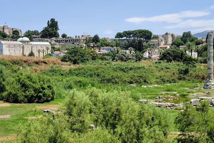 Panoramic view of Ephesus archaeological site near Selcuk on a private all inclusive day tour from Istanbul