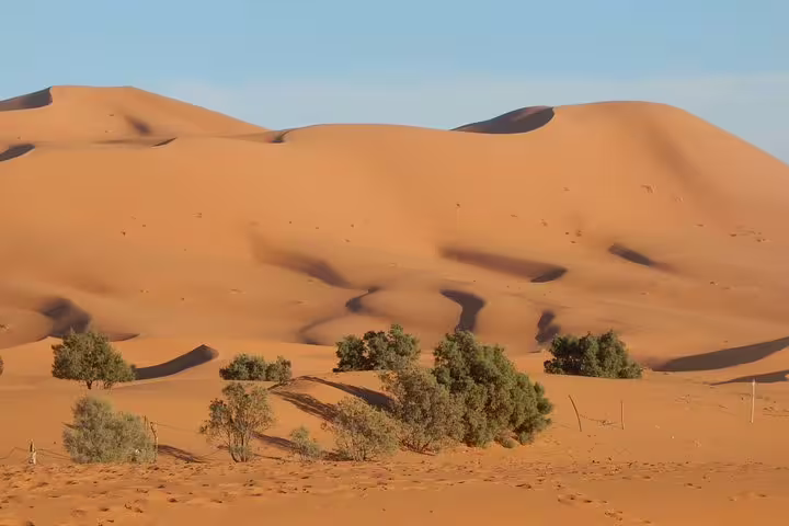 Golden Erg Chebbi dunes in Merzouga on 3-day private Sahara desert tour from Marrakech to Fes