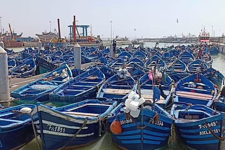 Blue fishing boats packed in Essaouira harbor, highlight stop on a private day trip from Marrakech to the coast