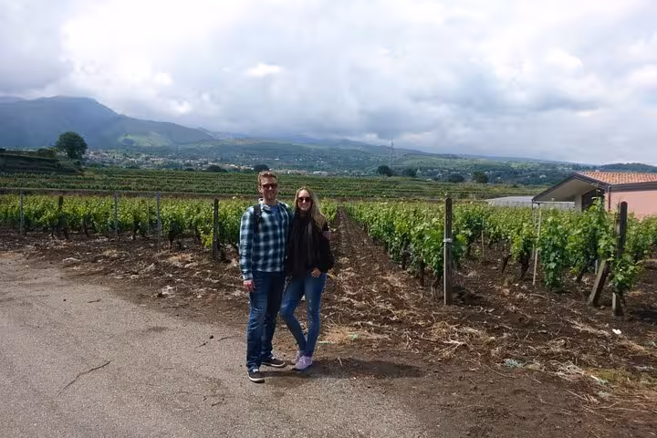 Visitors enjoy a picturesque vineyard near Mount Etna, highlighting wine tour experiences in Sicily.