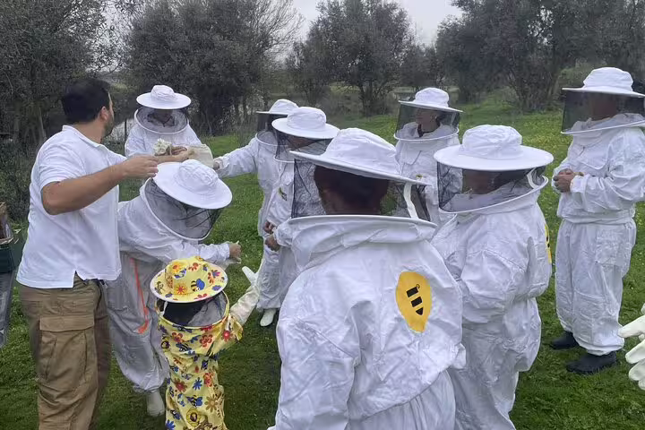 Group of visitors in beekeeper suits learning about bees in a lush Evora apiary tour.