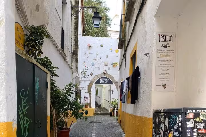 Charming narrow alley in Évora with vibrant plants and historic architecture on the Cork Culture tour.