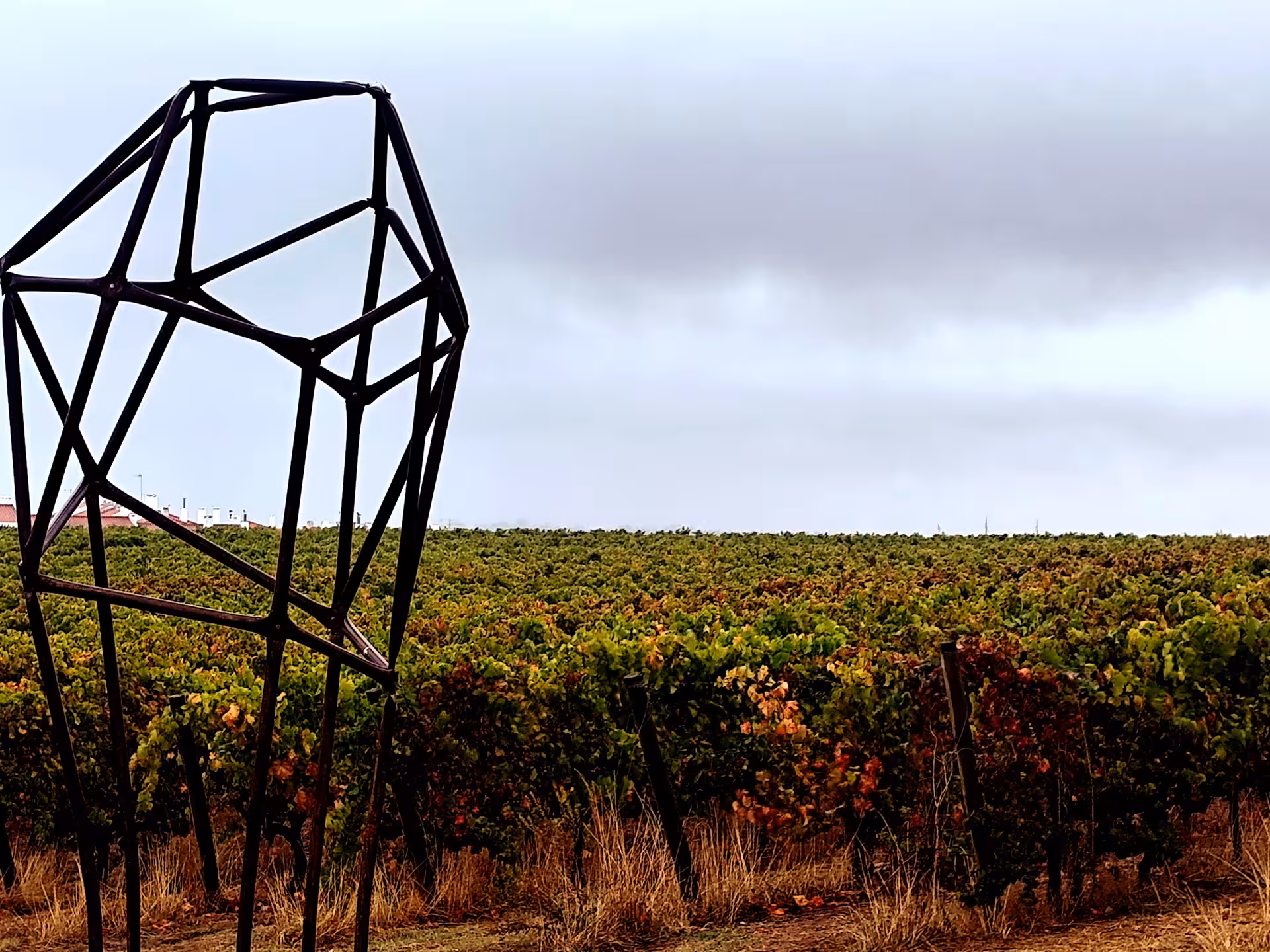 Vineyard landscape near Évora, Alentejo, Portugal, ideal for wine tasting tours and countryside day trips