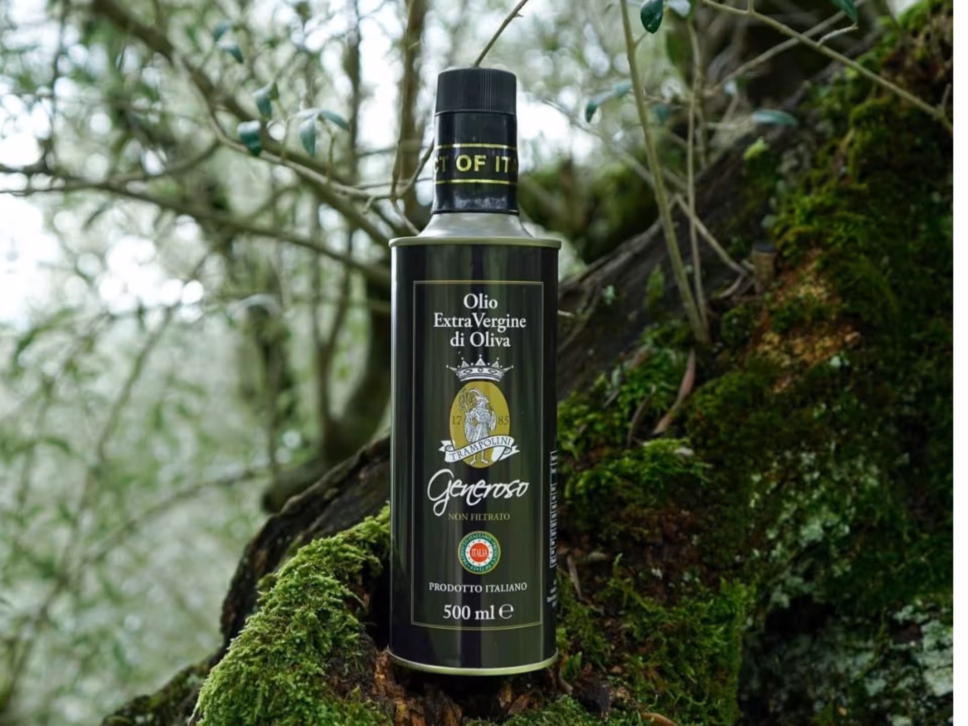 Bottle of extra virgin olive oil placed on a moss-covered tree, highlighting Perugia's olive oil production.