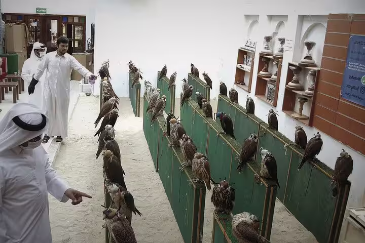 Falcons displayed in a traditional market setting at Souq Waqif, highlighting Qatar's heritage and culture.