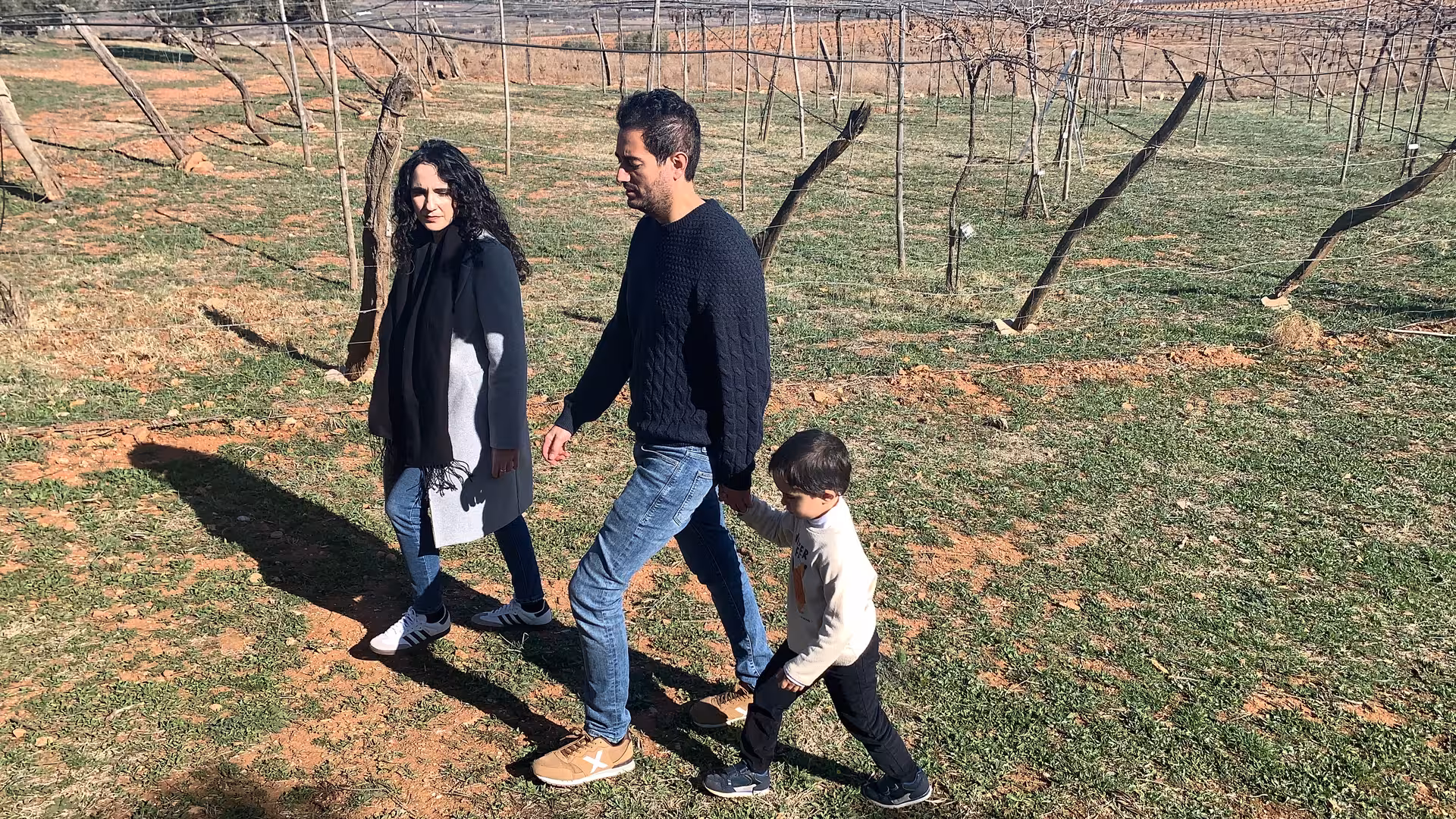 Family walking through a vineyard on a sunny day, enjoying a guided tour in a picturesque rural setting.