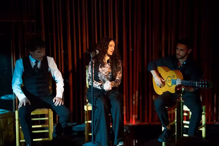 Flamenco performers engage the audience with passionate music and dance at an authentic live show in Barcelona.