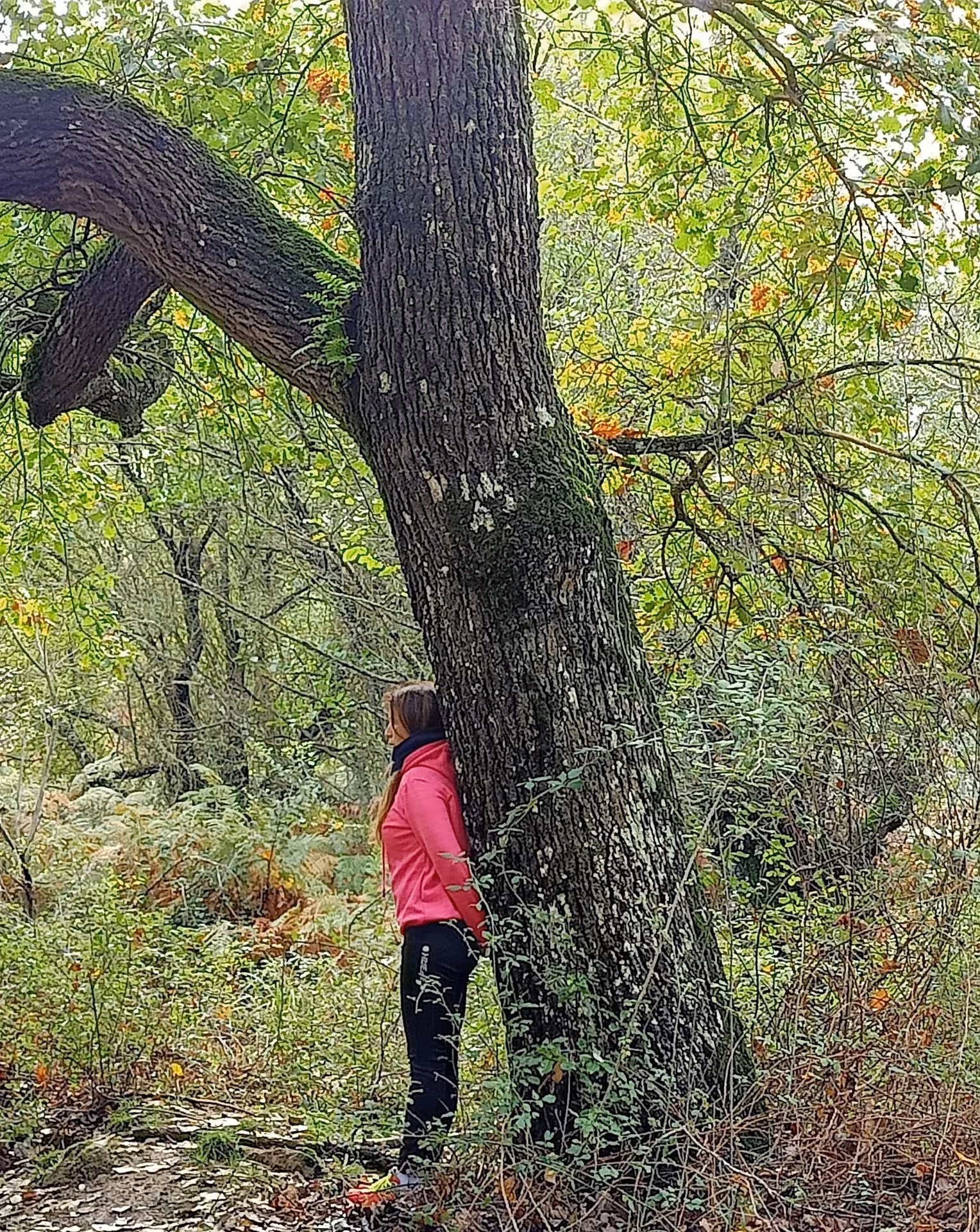 Person enjoying forest bathing beside a large tree in Sette Fratelli Park, Cagliari, surrounded by lush greenery.