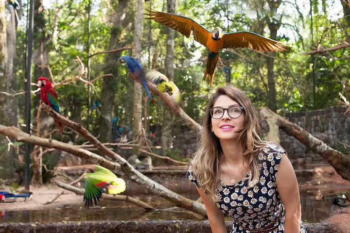 Visitor enjoying the vibrant bird park in Foz de Iguaçu, surrounded by colorful parrots in a lush natural setting.
