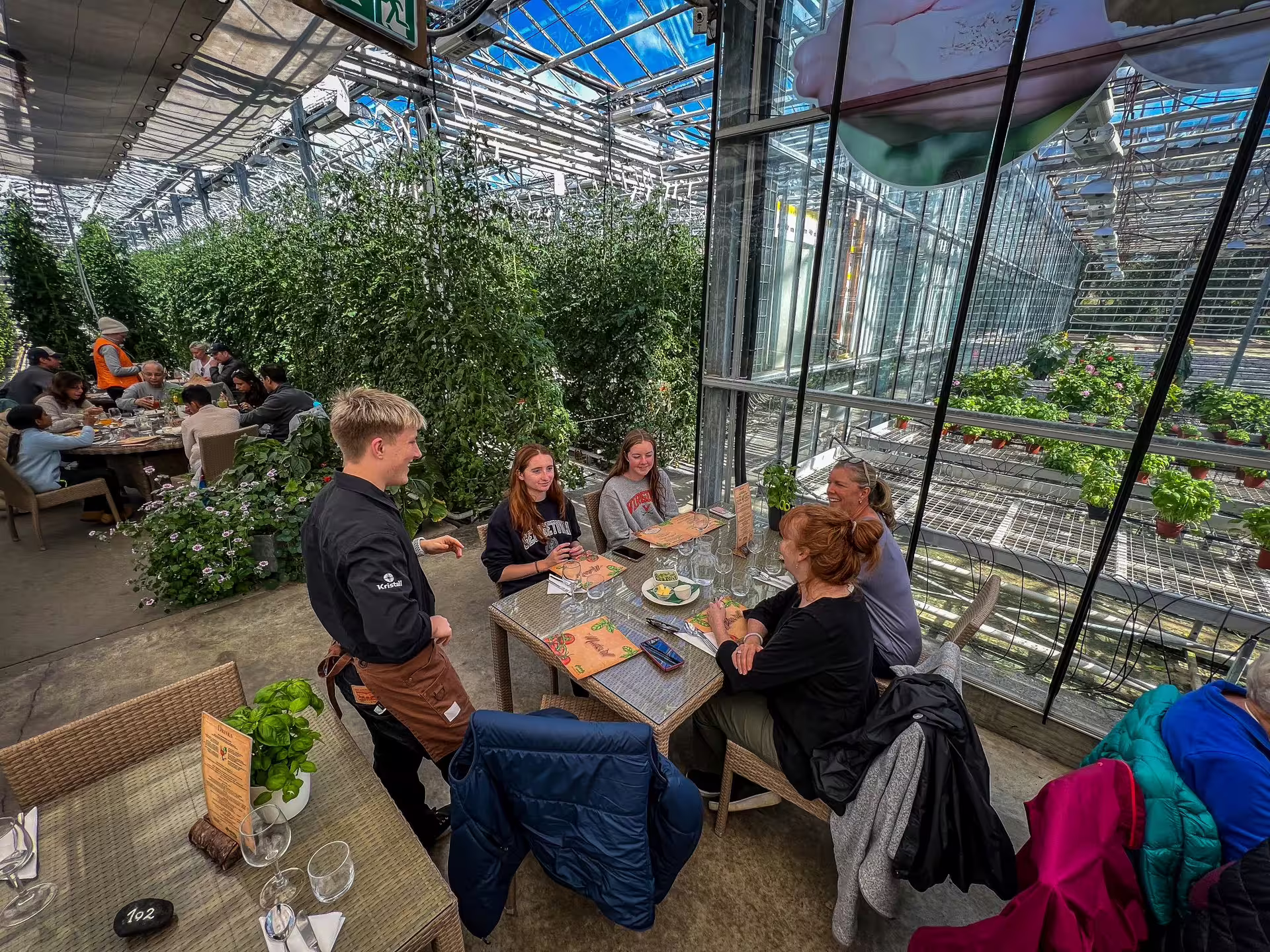 Diners enjoy a greenhouse dining experience at Friðheimar, surrounded by lush plants under a glass ceiling on the Golden Circle tour.
