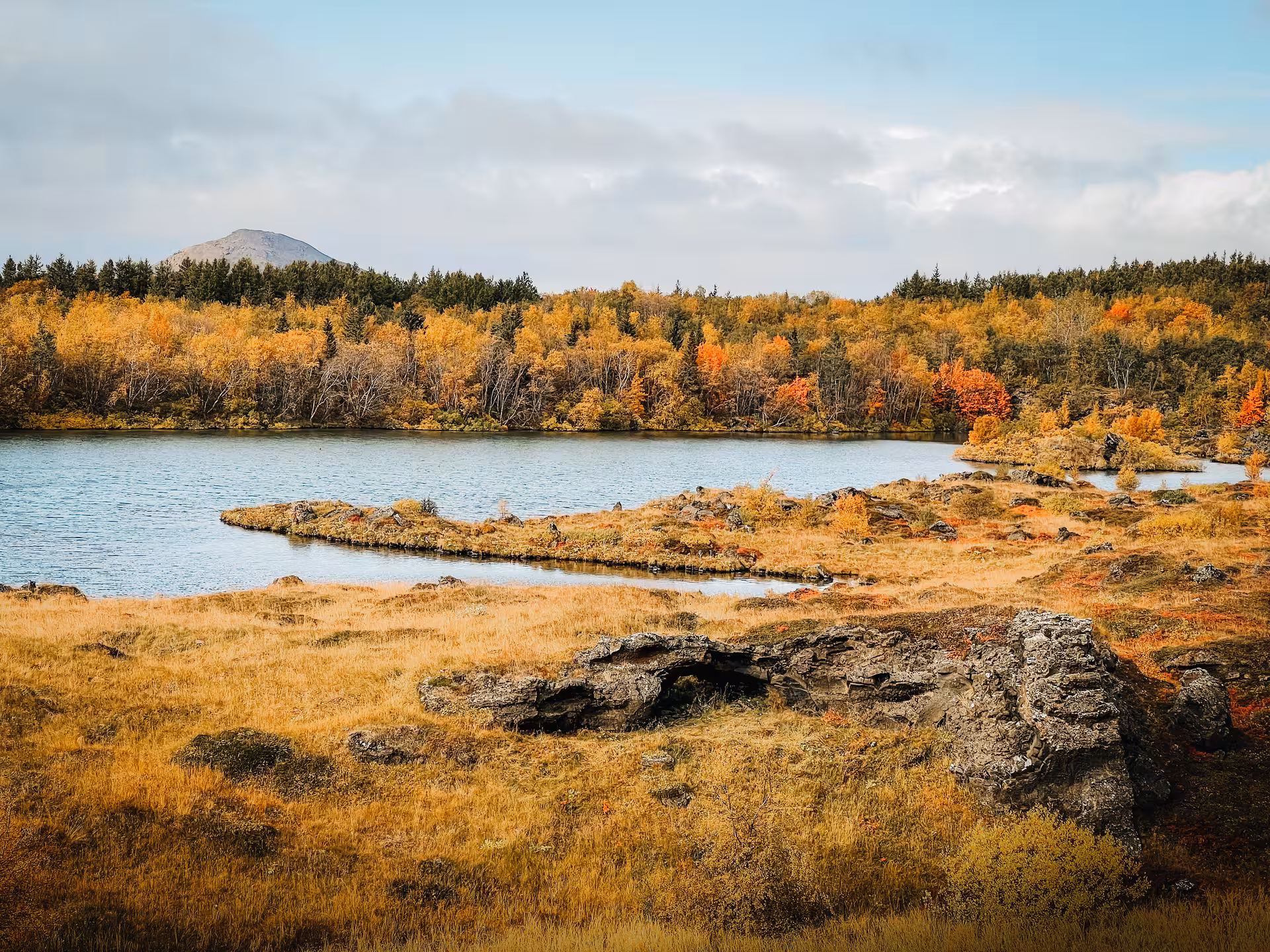 Autumn scenery at Lake Mývatn with lava fields, calm water and colorful trees on private shore excursion