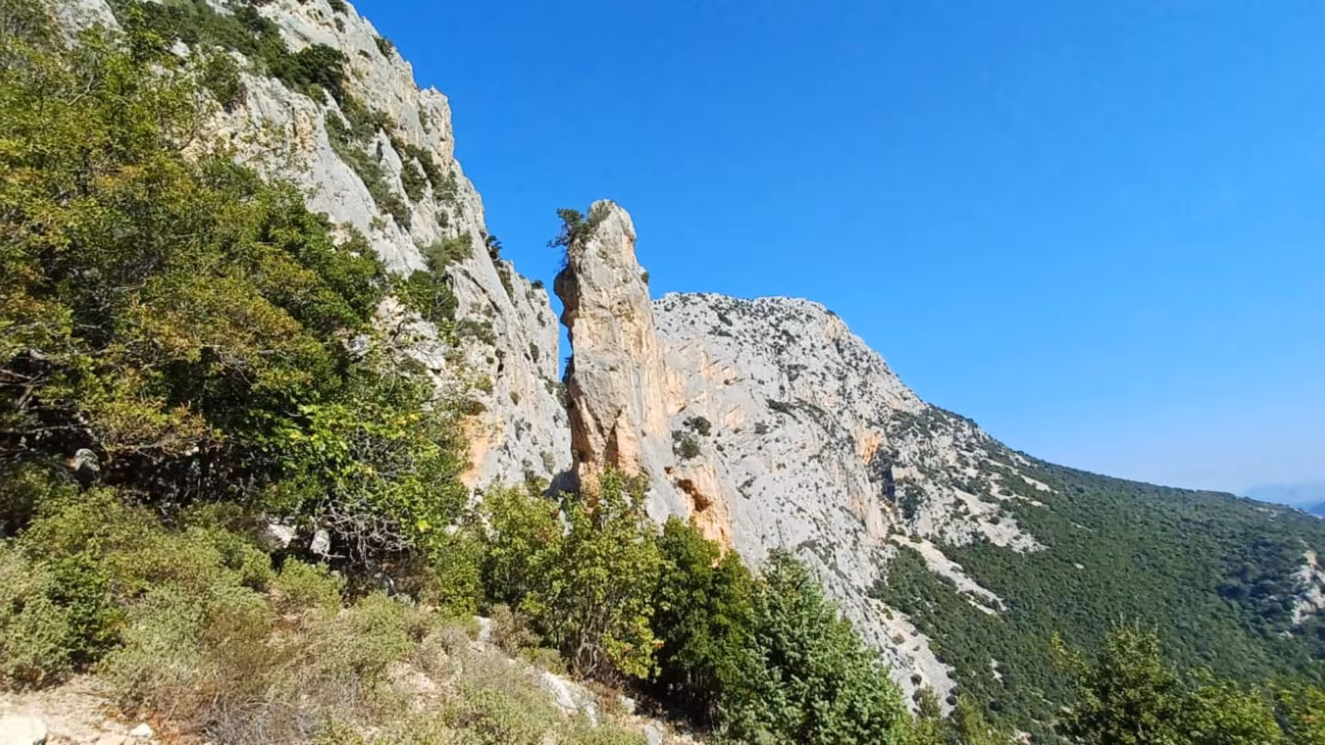 Stunning vertical rock formation in Gorropu Canyon surrounded by lush vegetation and clear blue skies.