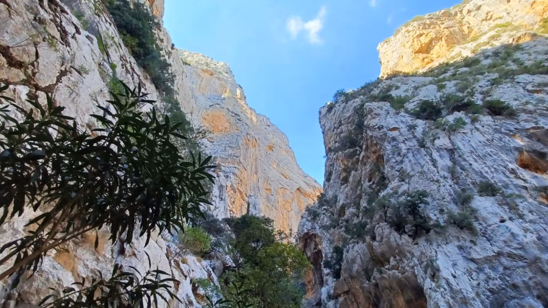 Majestic cliffs of Gorropu Canyon with lush greenery and a bright blue sky in Sardinia.