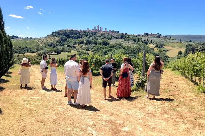 Visitors exploring a vineyard with panoramic views of San Gimignano's iconic towers in Tuscany.