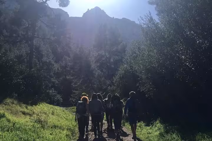 Guided hike through Calanques National Park near Marseille, group walking a sunny forest trail
