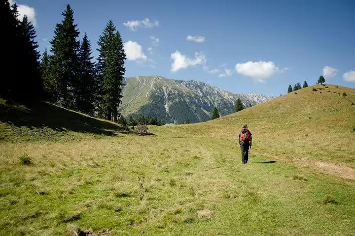 Hiker with red backpack walking through green mountain meadow with pine trees and rocky peaks in rural Romania