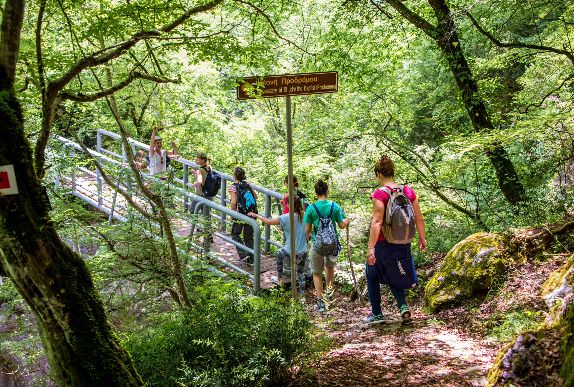 Guided Hiking Lousios Gorge trail through shady forest toward Prodromos Monastery sign, Peloponnese Greece