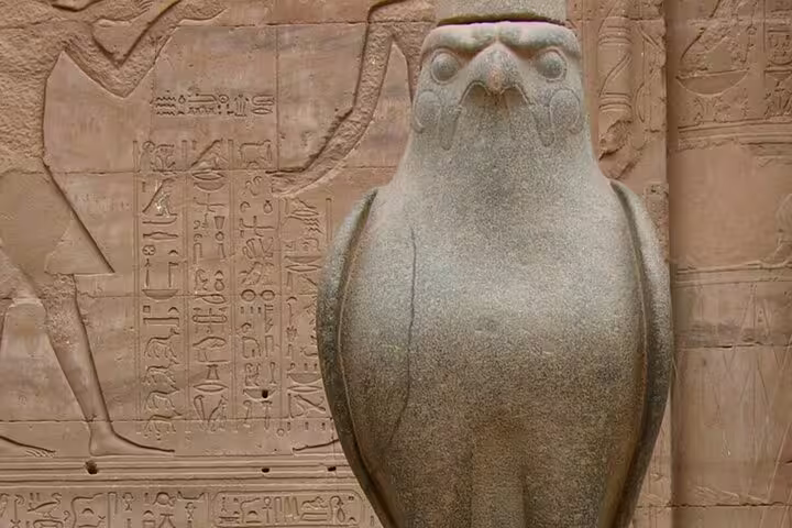Horus falcon statue with hieroglyphs at Edfu Temple, seen on Luxor to Abu Simbel and Kom Ombo day tour