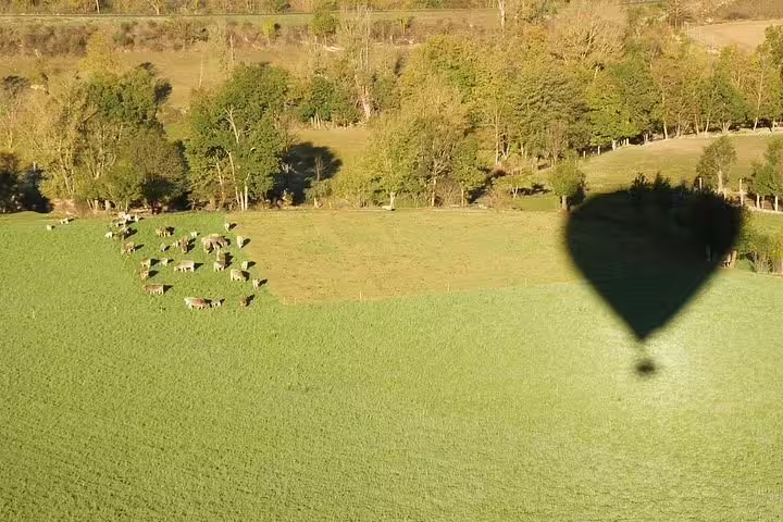 The shadow of a hot air balloon glides over a lush green field with grazing cows near Igualada.
