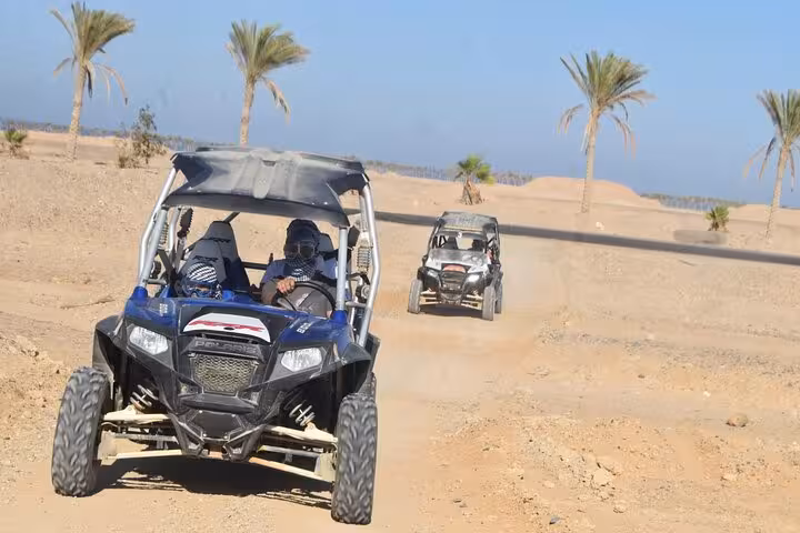 Off-road buggy driving in Hurghada desert safari with palm trees, part of family quad tour with dinner show