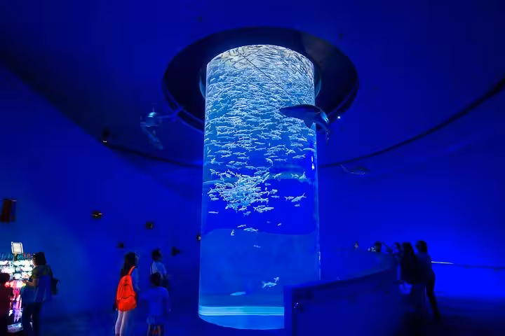 Visitors viewing giant cylindrical fish tank at Hurghada Grand Aquarium discovery tour with tickets and transfers
