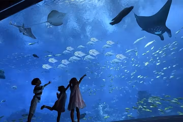 Kids watching rays and tropical fish at Hurghada Grand Aquarium on family discovery tour with transfers