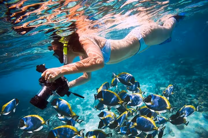 Hurghada Lovely Island snorkeling tour with underwater photographer swimming beside colorful reef fish