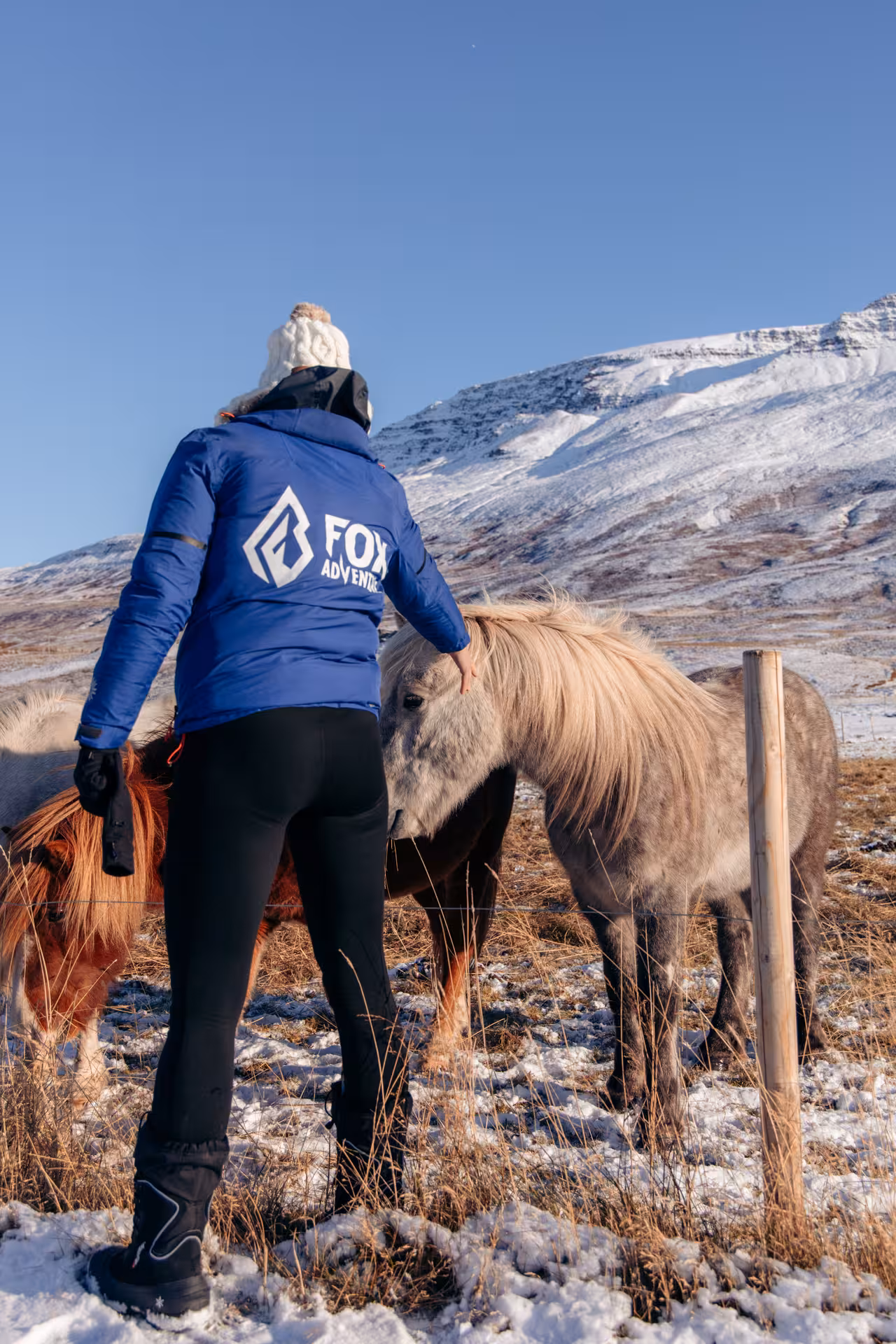 Traveler meets Icelandic horses in snowy North Iceland on private Goðafoss, Christmas House and Forest Lagoon tour