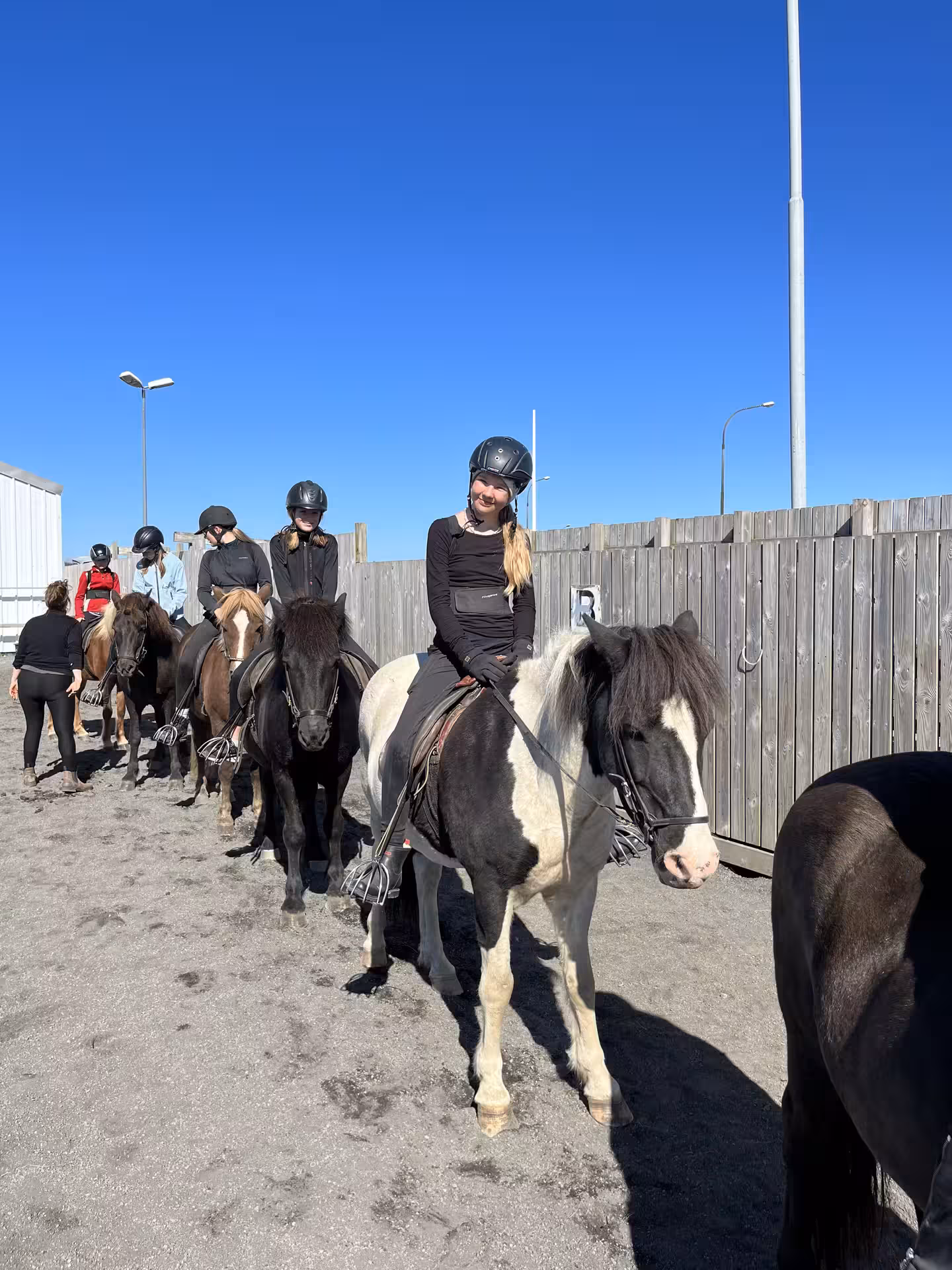 Group lined up on Icelandic horses at the stable before a 1 hour countryside horse riding tour in Iceland