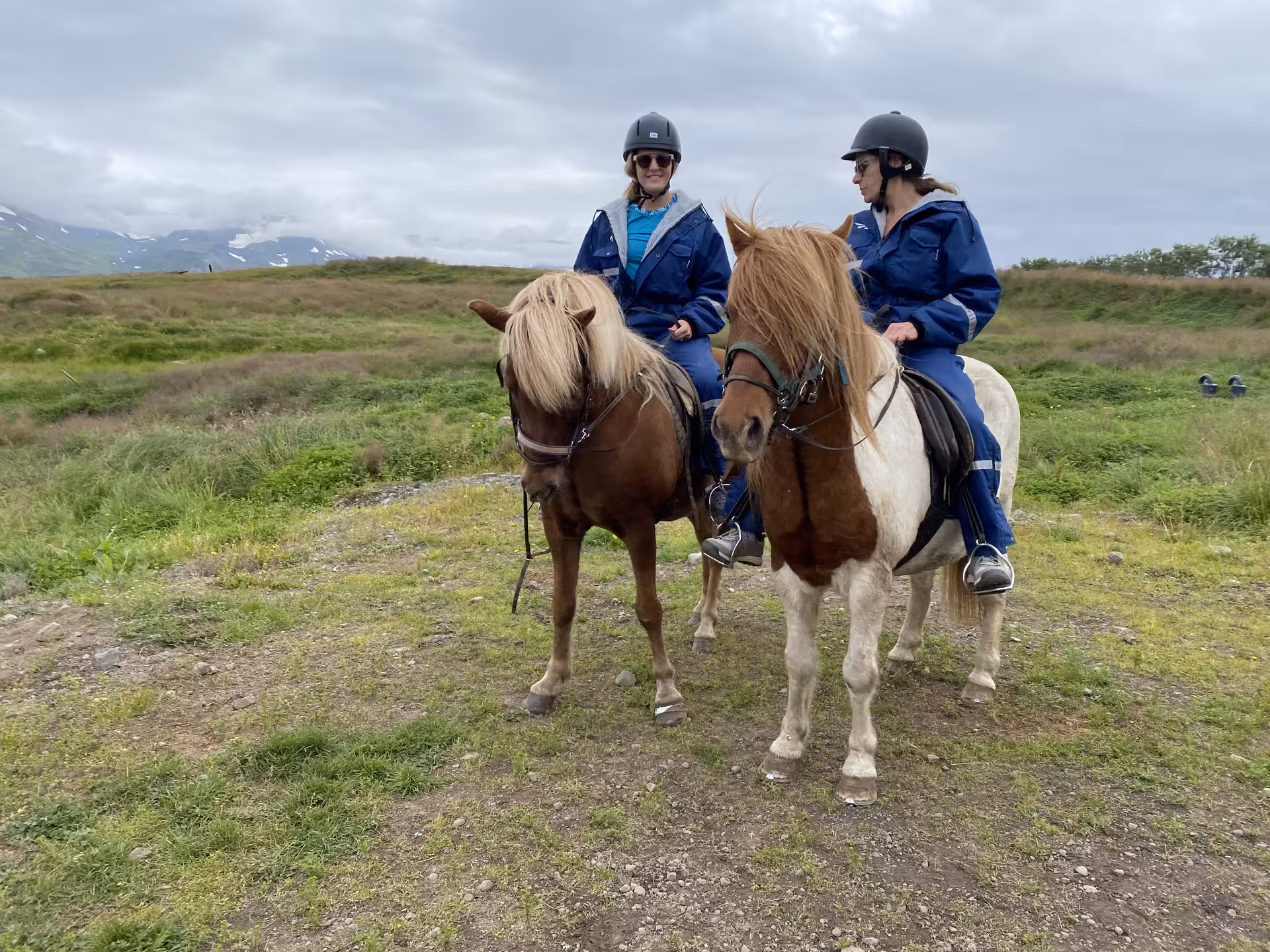 Two riders on Icelandic horses in green countryside, guided 1 hour horse riding tour in Iceland