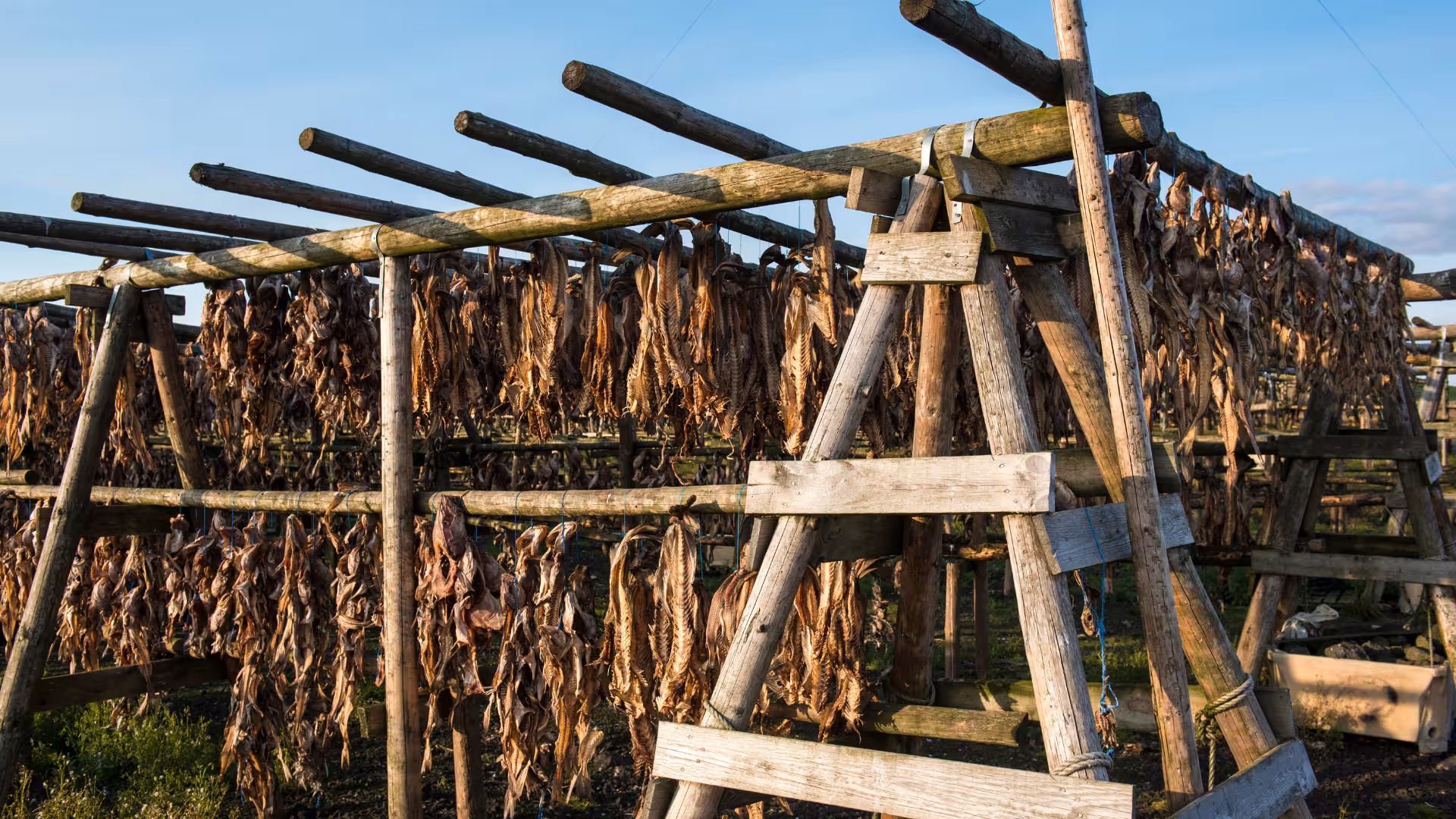 Traditional Icelandic fish drying racks near Krýsuvík, a cultural stop on the geothermal sprint tour