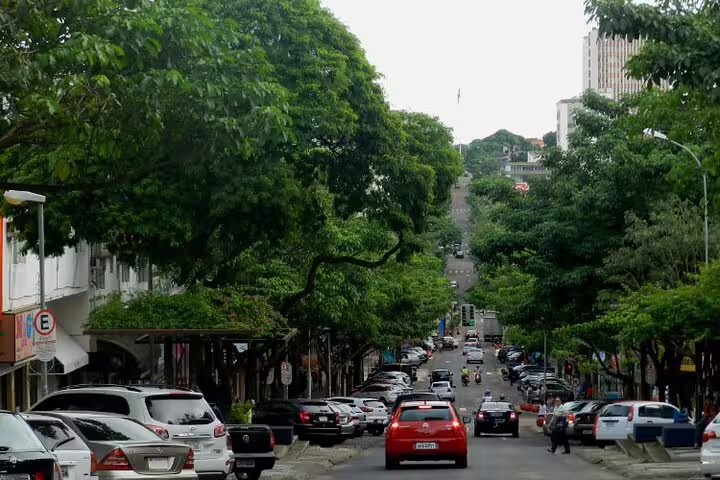 Bustling city street near Iguazu Falls, lined with lush trees and vibrant urban life, offering a taste of local culture.
