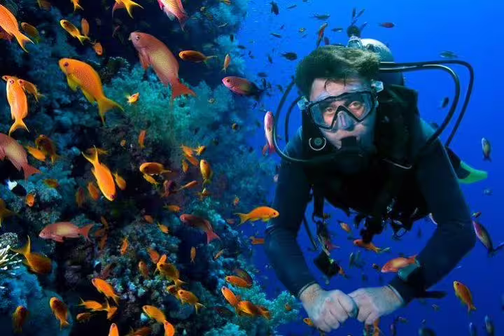Intro dive in Hurghada exploring Red Sea coral reef, scuba diver surrounded by colorful tropical fish