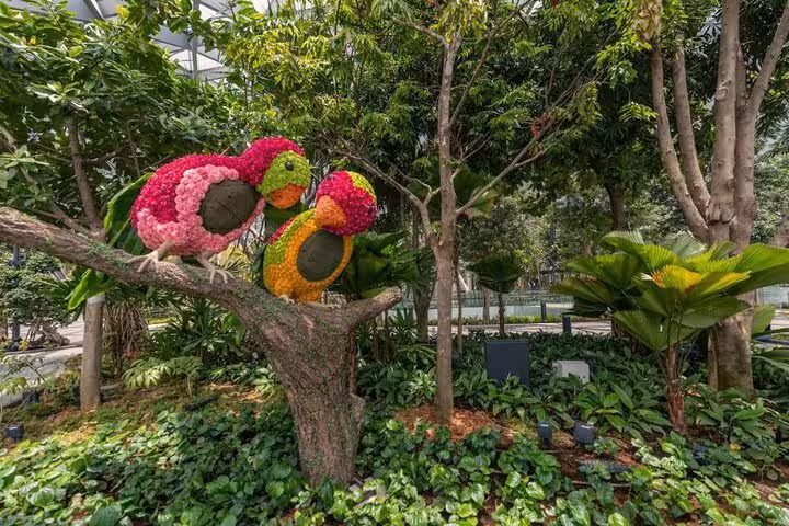 Colorful bird topiary display in Jewel Changi Airport Canopy Park, included with Walking Net ticket