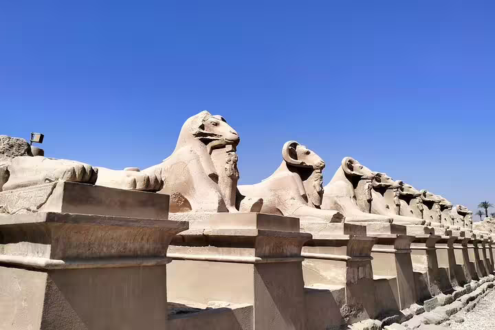 Close-up of Karnak ram-headed sphinx statues in Luxor, Hurghada excursion with guided ancient temple visit